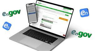 egov-uslugi-ecp-kliuc-ecp-udalenno-vse-uslugi-egov-bystro-onlain-big-0